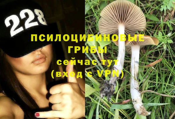 твердый Алексеевка