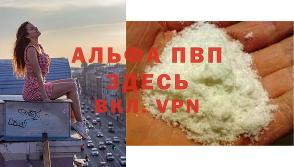 винт Абаза