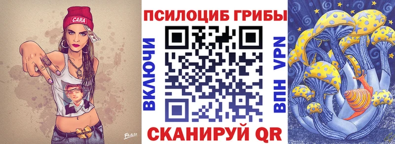 наркотики  Севастополь  Псилоцибиновые грибы Psilocybine cubensis 
