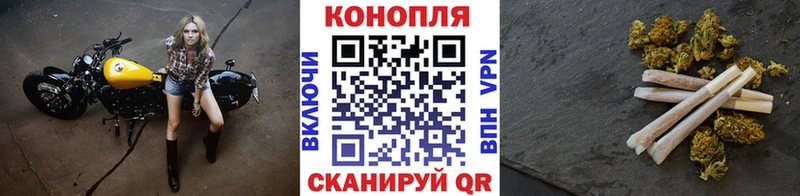 кракен как войти  Севастополь  Бошки марихуана Bruce Banner 